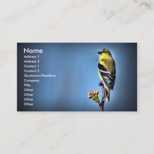 American Goldfinch Business Card