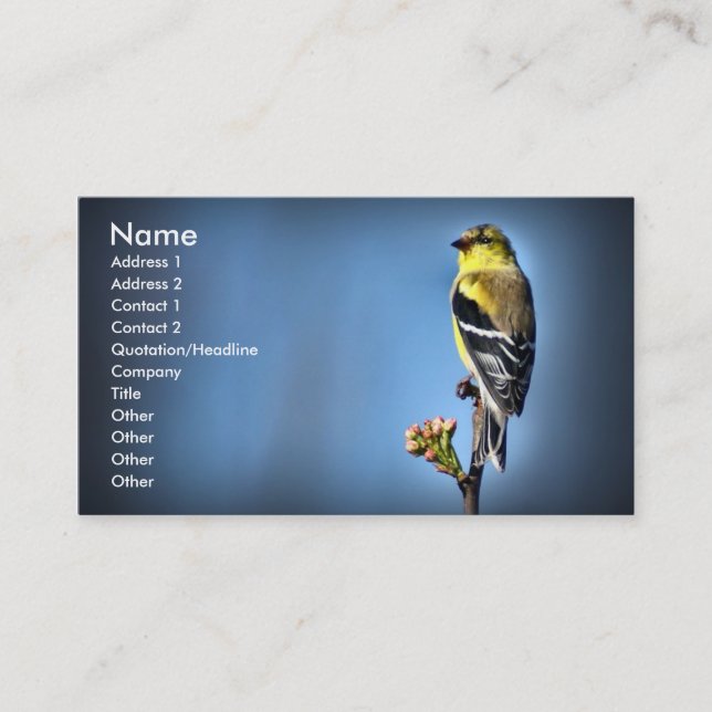 American Goldfinch Business Card (Front)