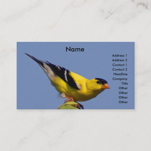 Customizable American Goldfinch Business Card Template