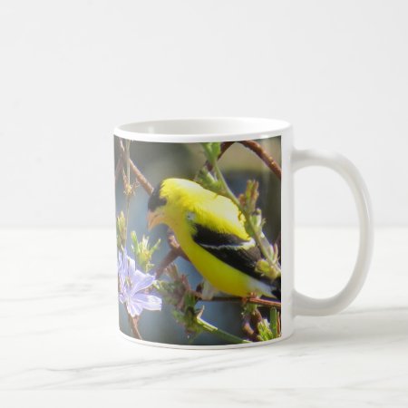 American Goldfinch Coffee Mug By Birdingcollectibl