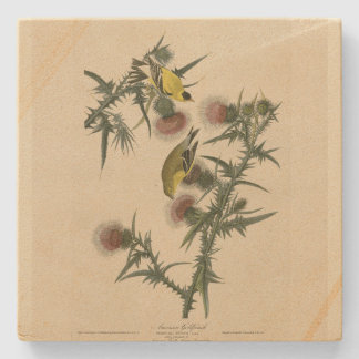 American Goldfinch from Audubon's Birds of America Stone Coaster