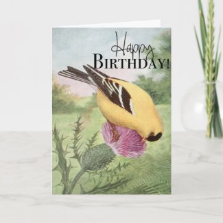 American Goldfinch Happy Birthday Card