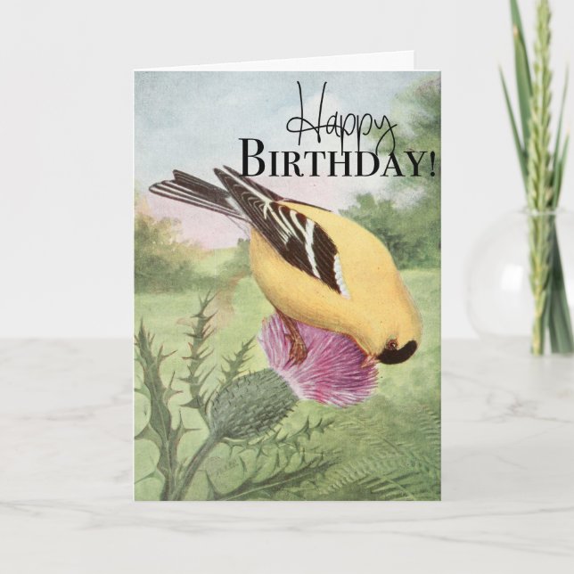 American Goldfinch Happy Birthday Card (Front)