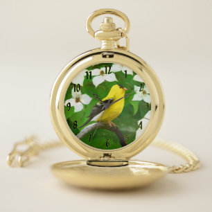 American Goldfinch in Winter Painting - Wild Bird  Pocket Watch