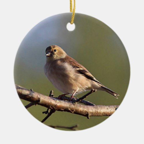 American goldfinch in winter plumage ceramic ornament