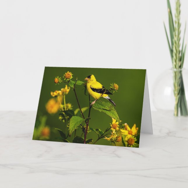 American Goldfinch Letterpress Thank You Card (Front)