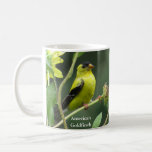 American Goldfinch Mug By Birdingcollectibles at Zazzle