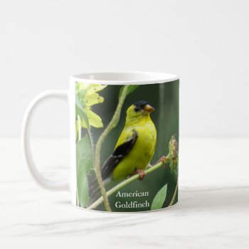American Goldfinch Mug By Birdingcollectibles by BirdingCollectibles at Zazzle