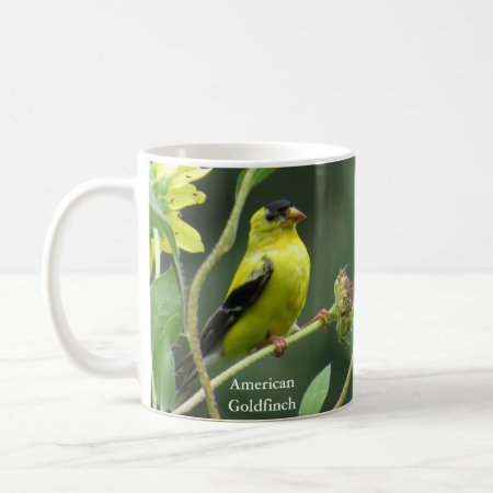 American Goldfinch Mug By Birdingcollectibles