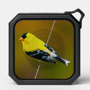 American Goldfinch - Original Photograph Bluetooth Speaker