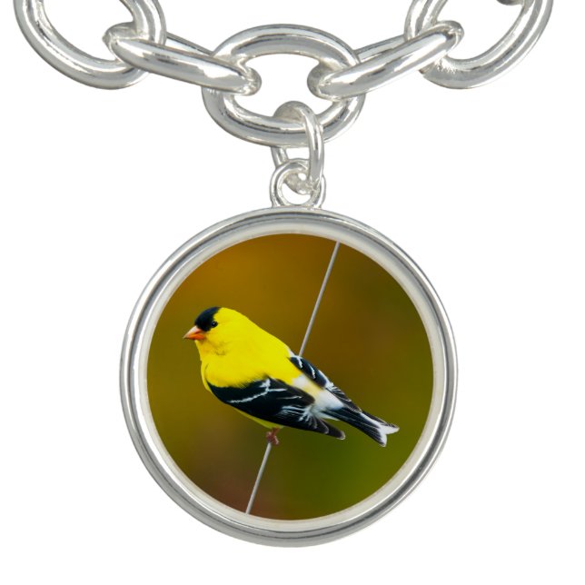 American Goldfinch - Original Photograph Bracelet (Design)
