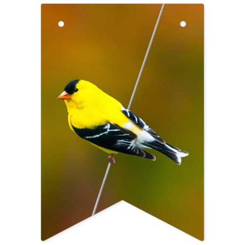 American Goldfinch _ Original Photograph Bunting Flags