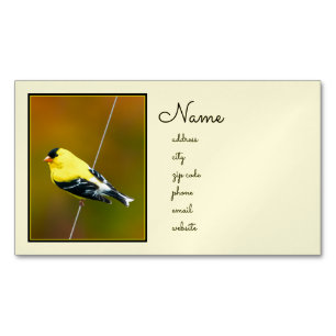 American Goldfinch - Original Photograph Business Card Magnet