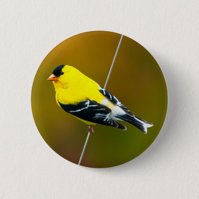 American Goldfinch - Original Photograph Button (Front)