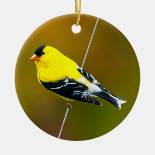 American Goldfinch _ Original Photograph Ceramic Ornament