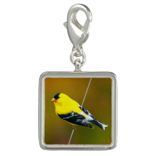 American Goldfinch - Original Photograph Charm