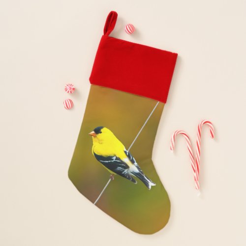 American Goldfinch _ Original Photograph Christmas Stocking