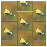 American Goldfinch - Original Photograph Fabric