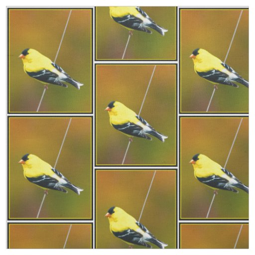 American Goldfinch - Original Photograph Fabric