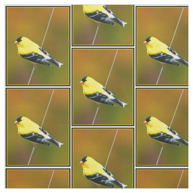 American Goldfinch - Original Photograph Fabric (Swatch)