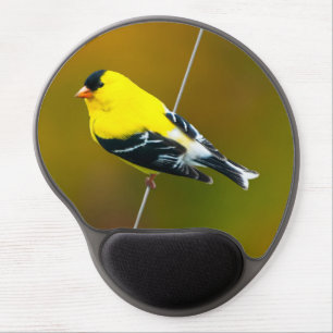 American Goldfinch - Original Photograph Gel Mouse Pad