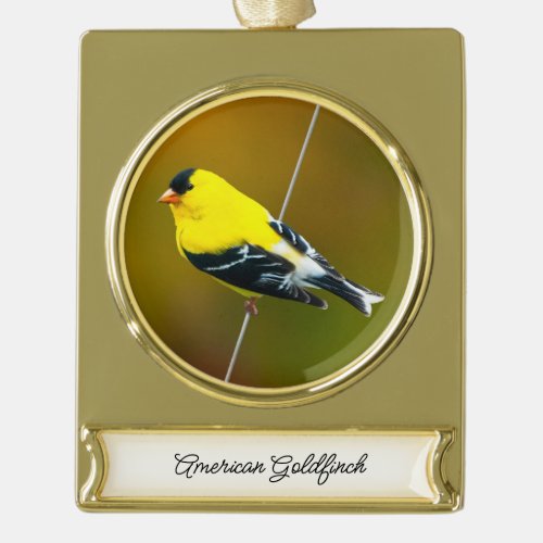 American Goldfinch _ Original Photograph Gold Plated Banner Ornament