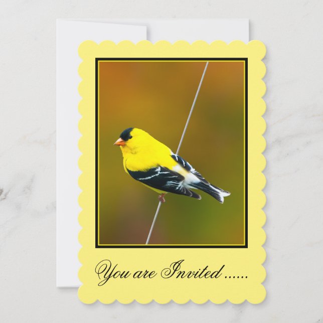 American Goldfinch - Original Photograph Invitation (Front)