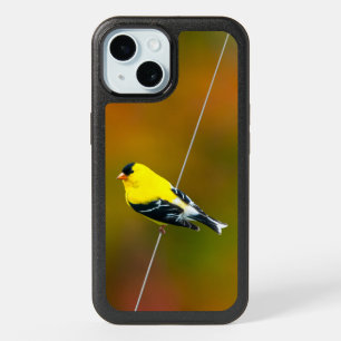 American Goldfinch - Original Photograph iPhone 15 Case
