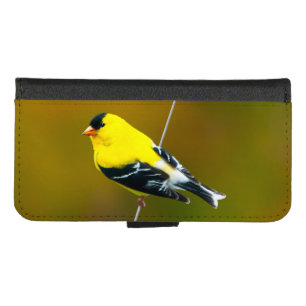 American Goldfinch - Original Photograph iPhone 8/7 Wallet Case
