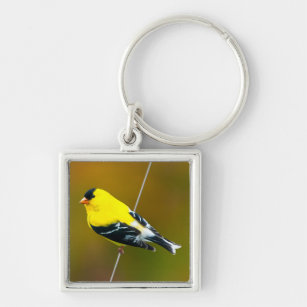 American Goldfinch - Original Photograph Keychain