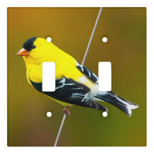 American Goldfinch - Original Photograph Light Switch Cover