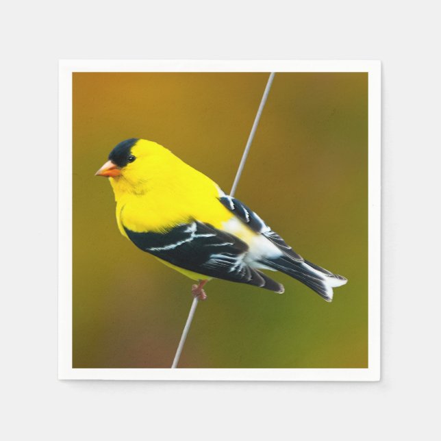 American Goldfinch - Original Photograph Napkins (Front)
