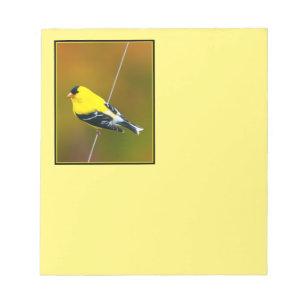 American Goldfinch - Original Photograph Notepad