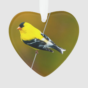 American Goldfinch - Original Photograph Ornament