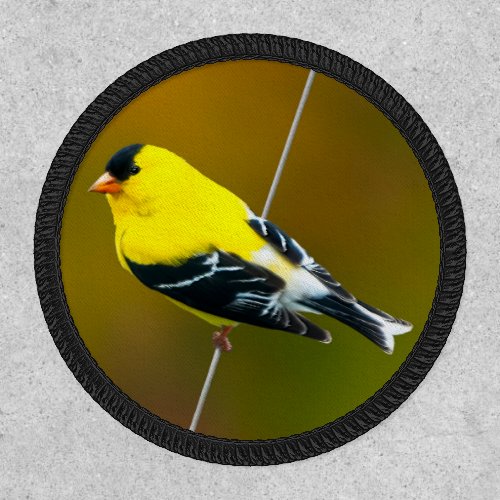 American Goldfinch _ Original Photograph Patch