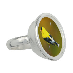 American Goldfinch - Original Photograph Ring