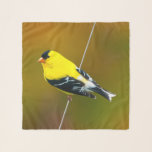 American Goldfinch - Original Photograph Scarf<br><div class="desc">American Goldfinch photograph,  original photograph.   We specialize in cute and funny original art. Buy this for yourself or as a great gift for your Goldfinch loving friends. Be creative - click on CUSTOMIZE to add/remove/change text,  resize the picture,  change colors or anything else the customization tool will allow!</div>