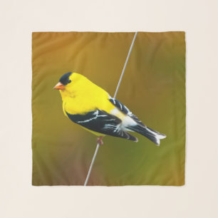 American Goldfinch - Original Photograph Scarf