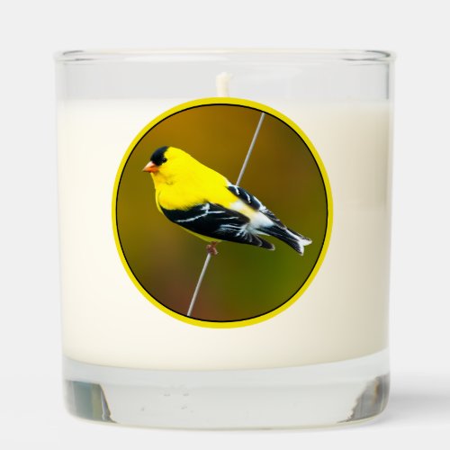 American Goldfinch _ Original Photograph Scented Candle