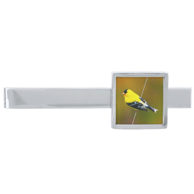American Goldfinch - Original Photograph Silver Finish Tie Bar (Front)