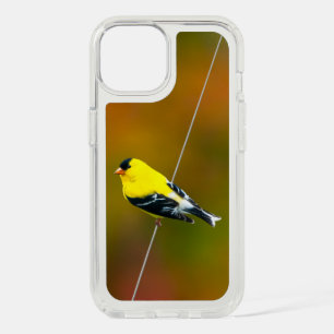 American Goldfinch - Original Photograph iPhone 15 Case