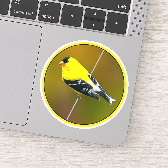 American Goldfinch - Original Photograph Sticker (Detail)
