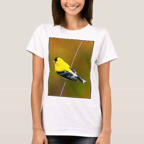 American Goldfinch _ Original Photograph T_Shirt