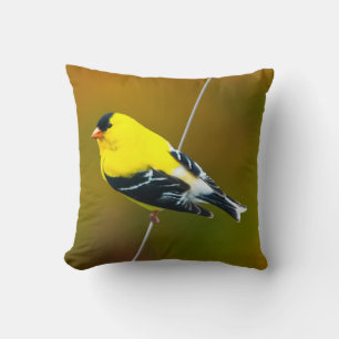 American Goldfinch - Original Photograph Throw Pillow