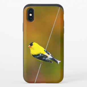 American Goldfinch - Original Photograph iPhone X Slider Case