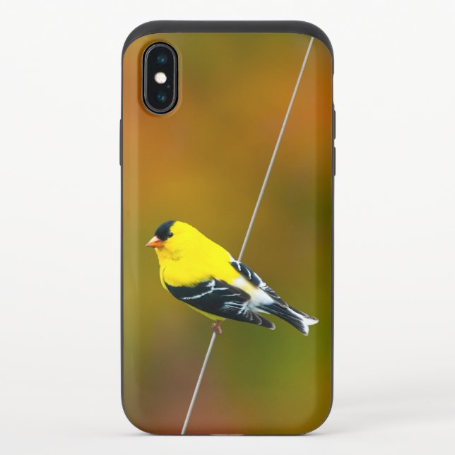 American Goldfinch - Original Photograph Uncommon iPhone Case (Back)