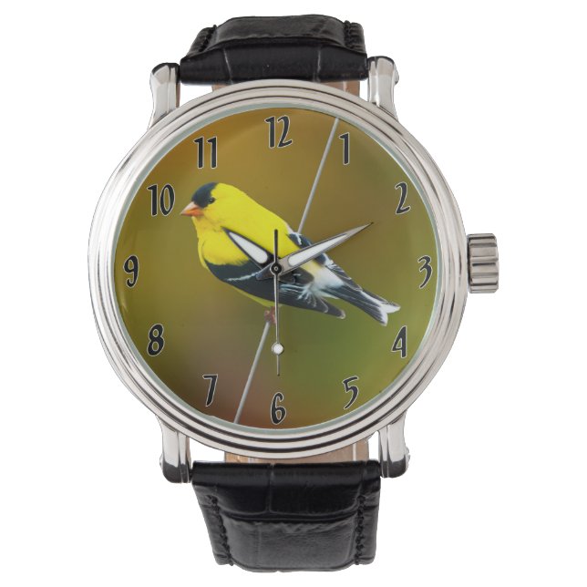 American Goldfinch - Original Photograph Watch (Front)