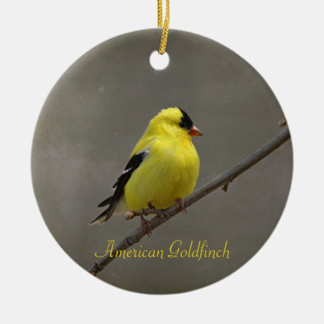 American Goldfinch Photography Round Ceramic Ornament (Front)