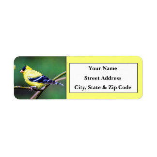 American Goldfinch Return Address Labels