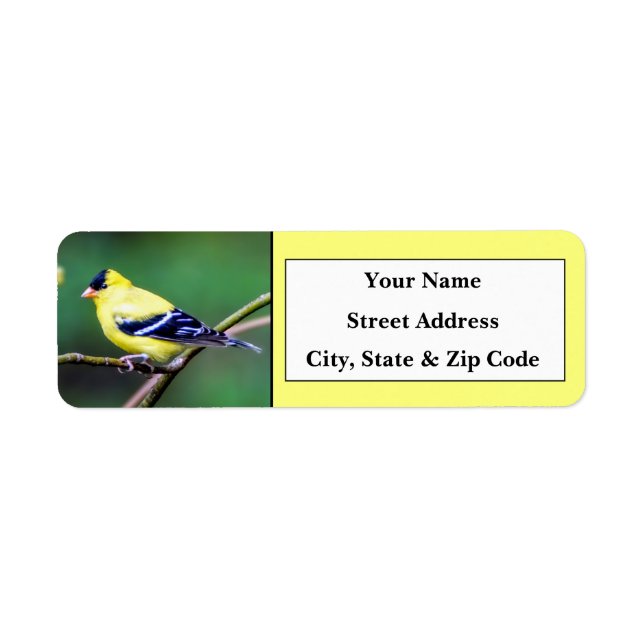 American Goldfinch Return Address Labels (Front)
